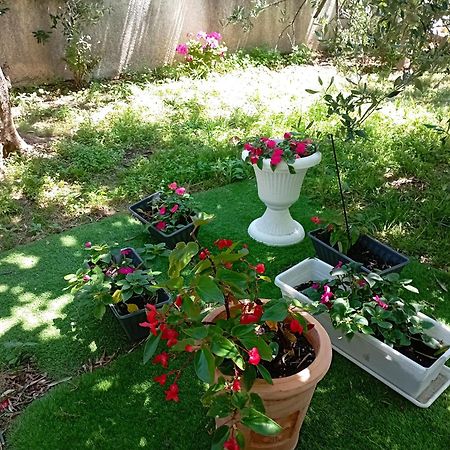 Apartmani Trubi 3 Vodice Esterno foto