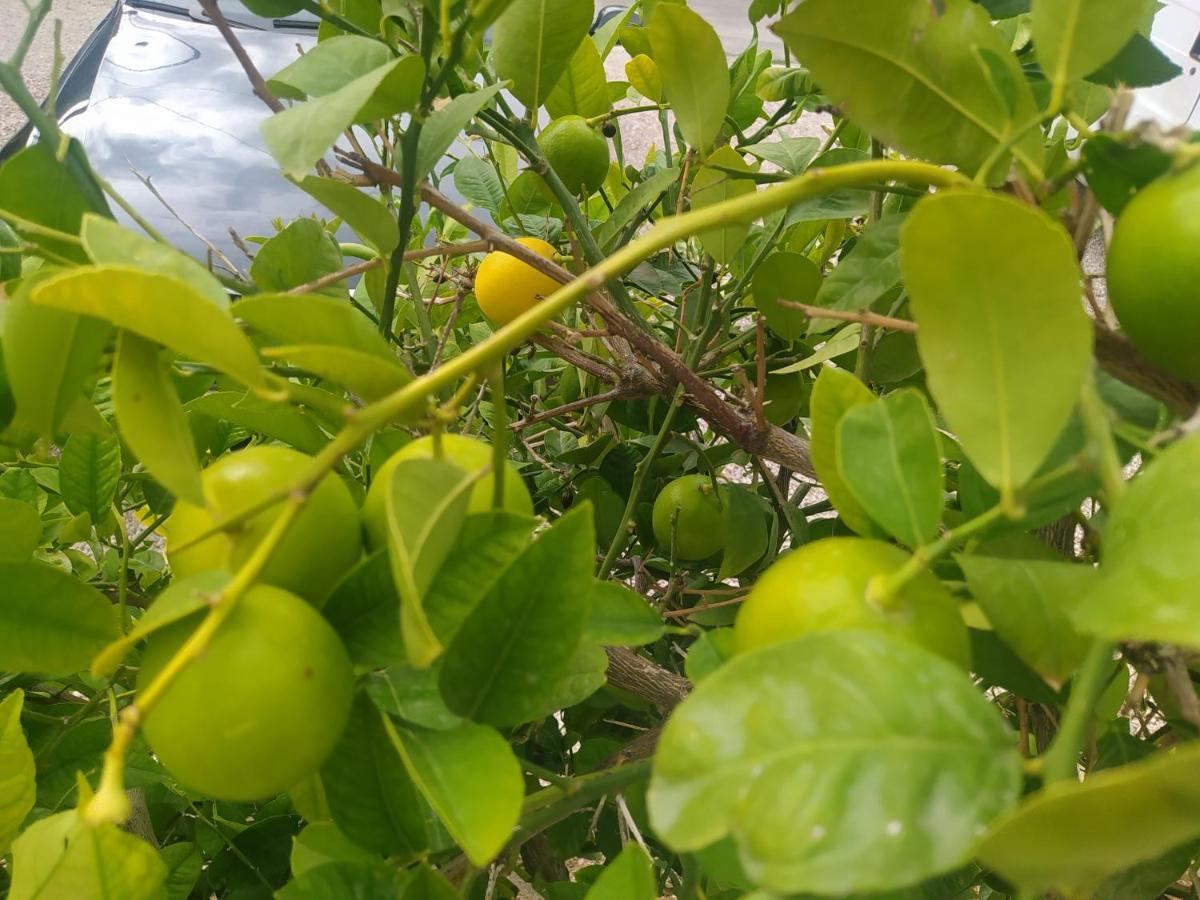 Apartmani Trubi 3 Vodice Esterno foto