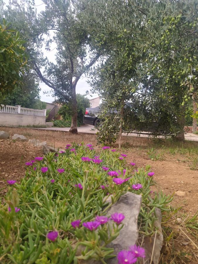 Apartmani Trubi 3 Vodice Esterno foto