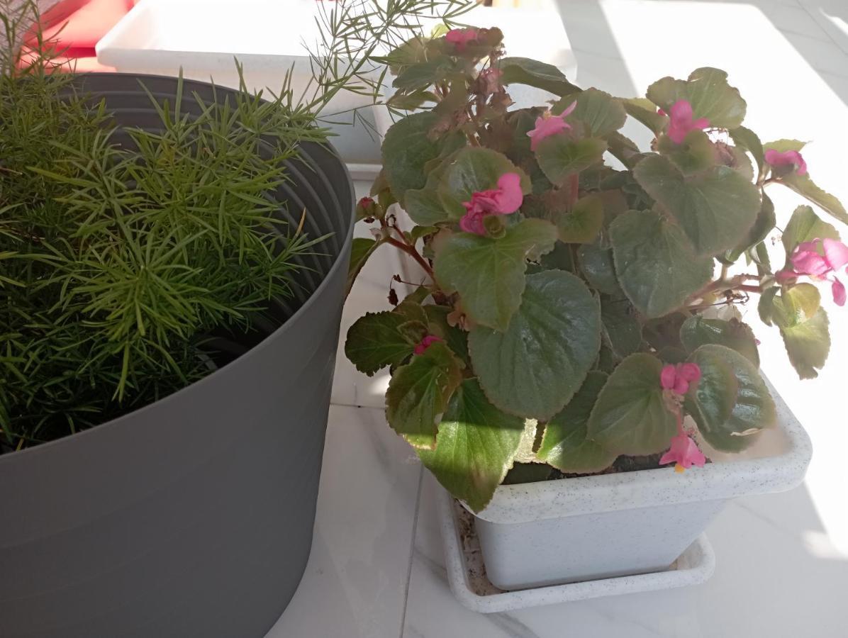 Apartmani Trubi 3 Vodice Esterno foto